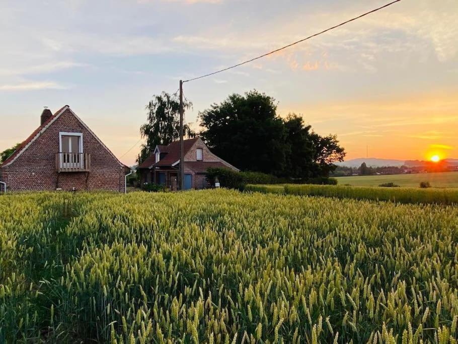 Cottage Chaleureux Au Coeur Des Monts De Flandres Saint-Jans-Cappel Bagian luar foto